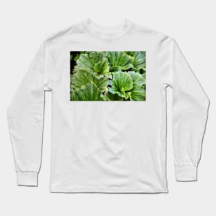 Macquarie Island Cabbage Long Sleeve T-Shirt